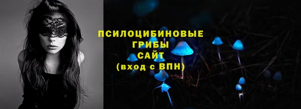 бошки Аркадак