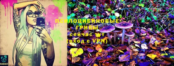 бошки Аркадак